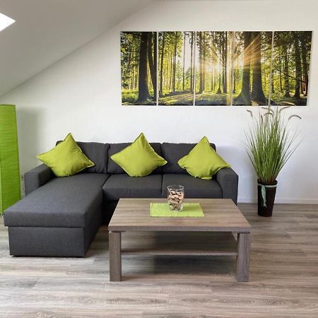Ferienwohnung Frieda Mit Ueberdachtem Balkon 温特贝格 外观 照片